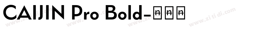 CAIJIN Pro Bold字体转换